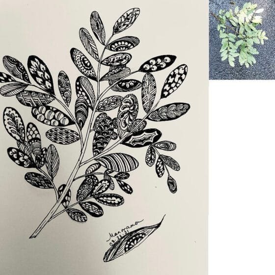 Art in Nature – Zentangle