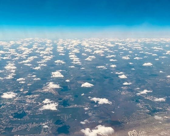 White in its Elegance