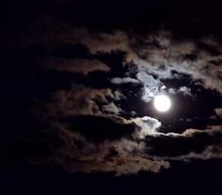 A Spontaneous Getaway to Cherish @ 1000 Islands!