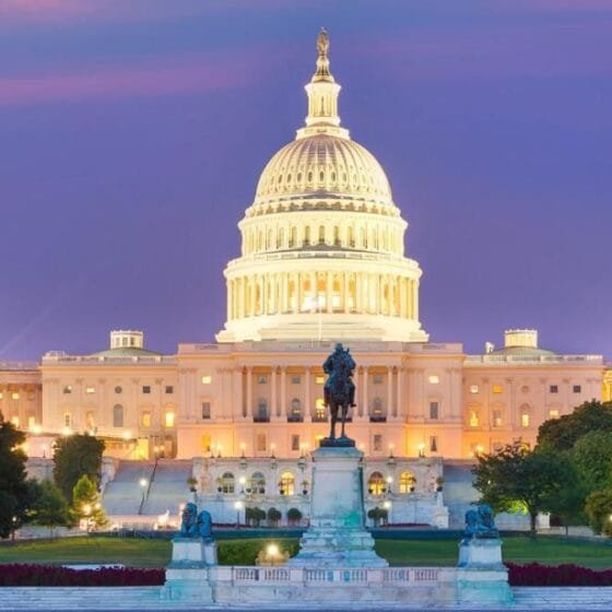 The Cycles of Life: Embracing the Fall to Rise Again