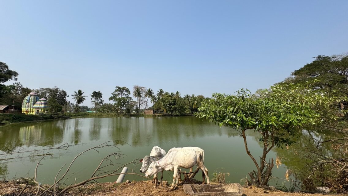 Destiny at Work: When Coincidence Finds a Purpose!