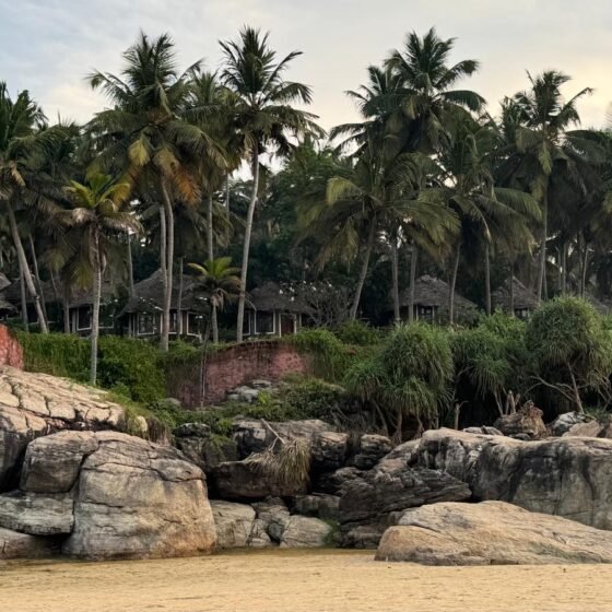 A Return to Serenity at Somatheeram Ayurveda Resort