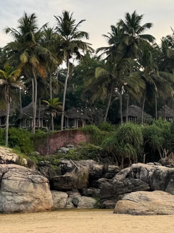 A Return to Serenity at Somatheeram Ayurveda Resort