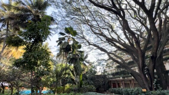 From Memories to Moments: Echoes of Bangalore