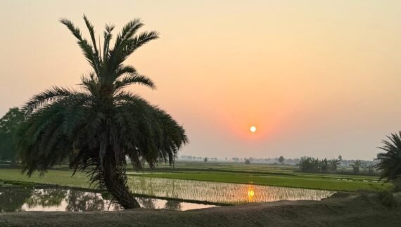 WhatsApp Image 2026-03-12 at 6.16.55 PM