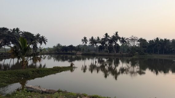 WhatsApp Image 2026-03-12 at 6.17.33 PM