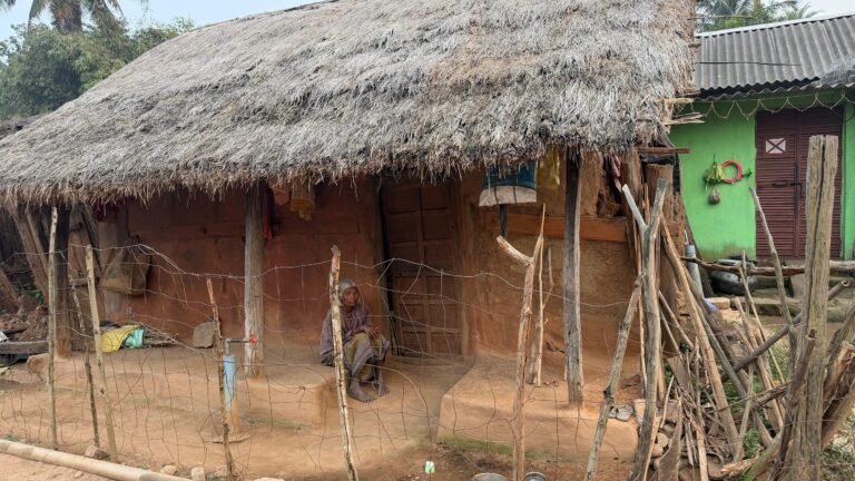 WhatsApp Image 2026-03-12 at 6.27.11 PM (1)