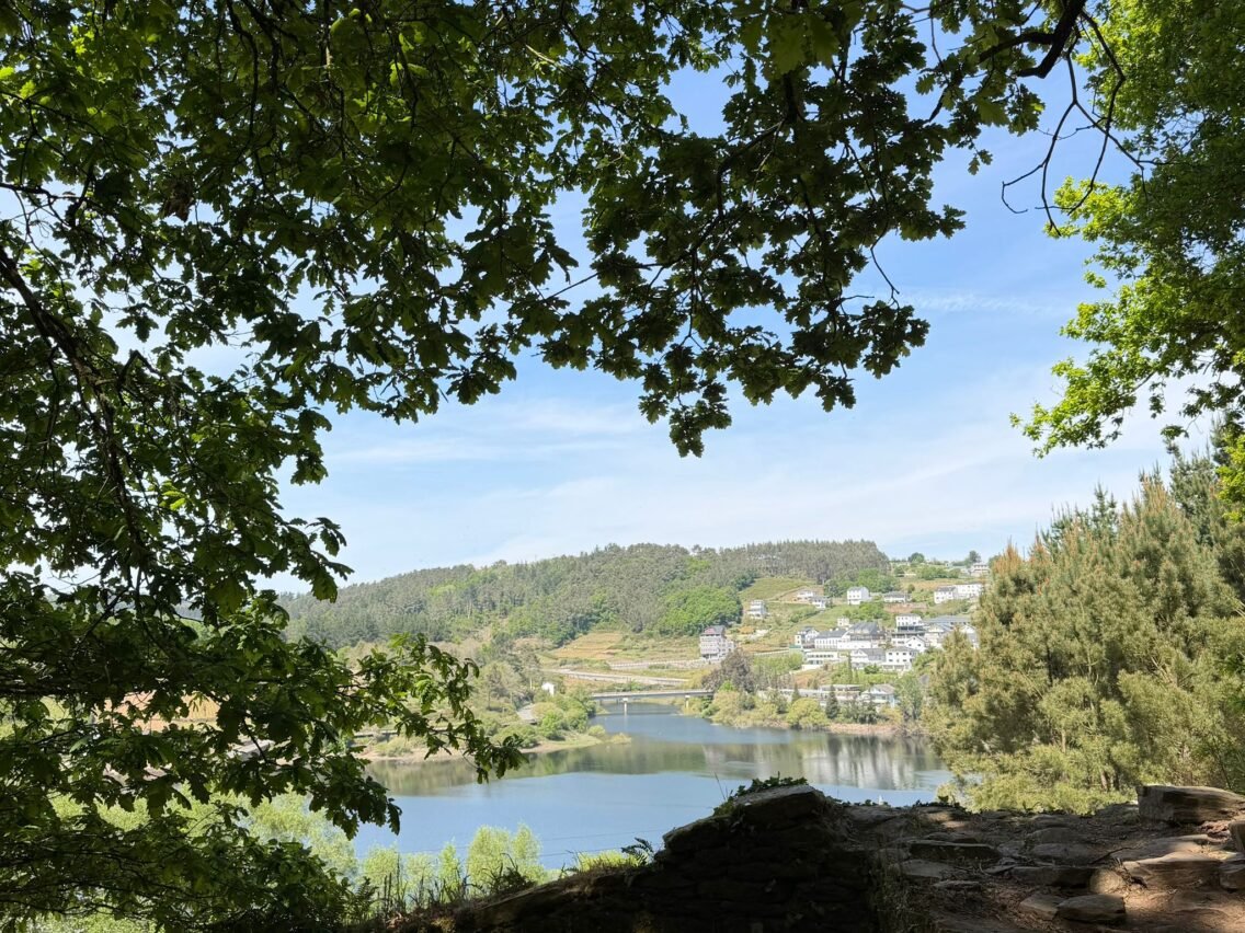 From Sarria to Santiago: Her Walk, My Test