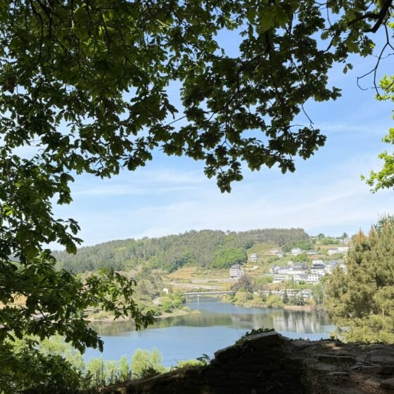 From Sarria to Santiago: Her Walk, My Test
