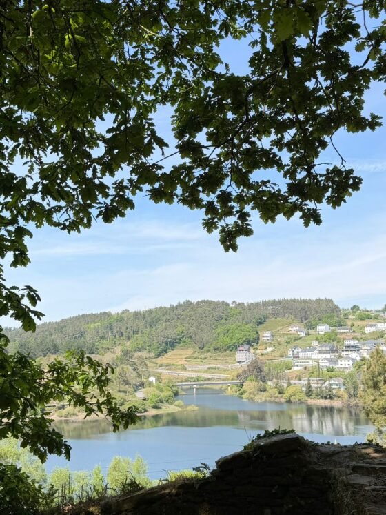 From Sarria to Santiago: Her Walk, My Test