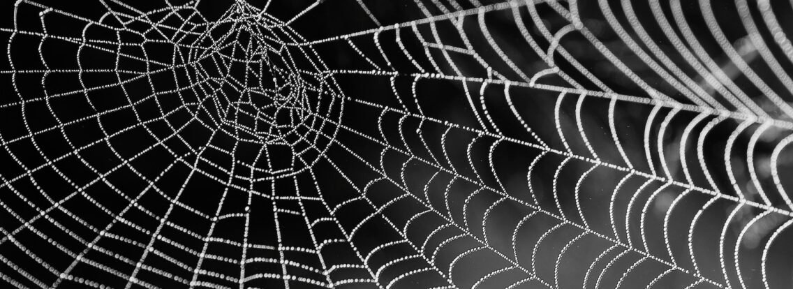 What Are We Losing in Translation?