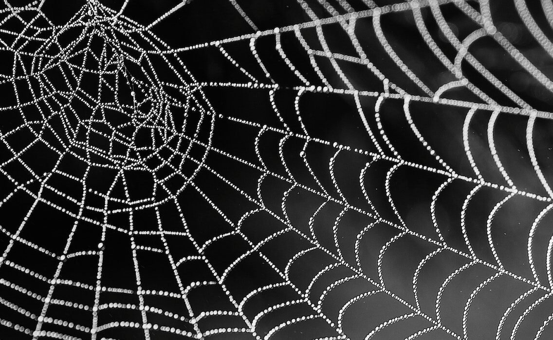 What Are We Losing in Translation?