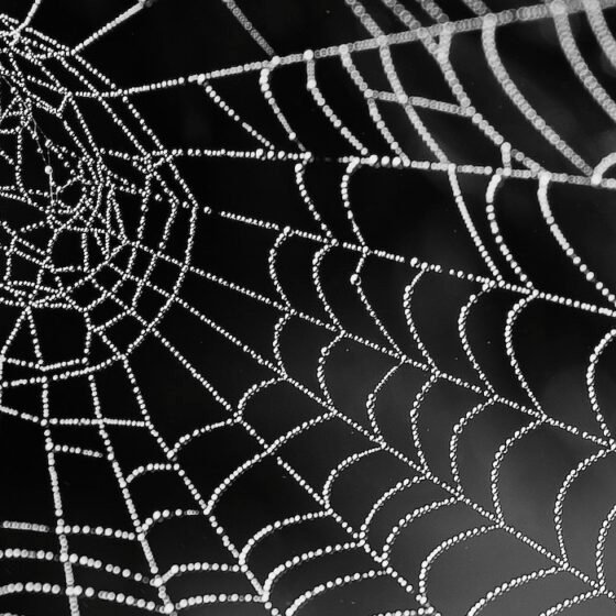 What Are We Losing in Translation?