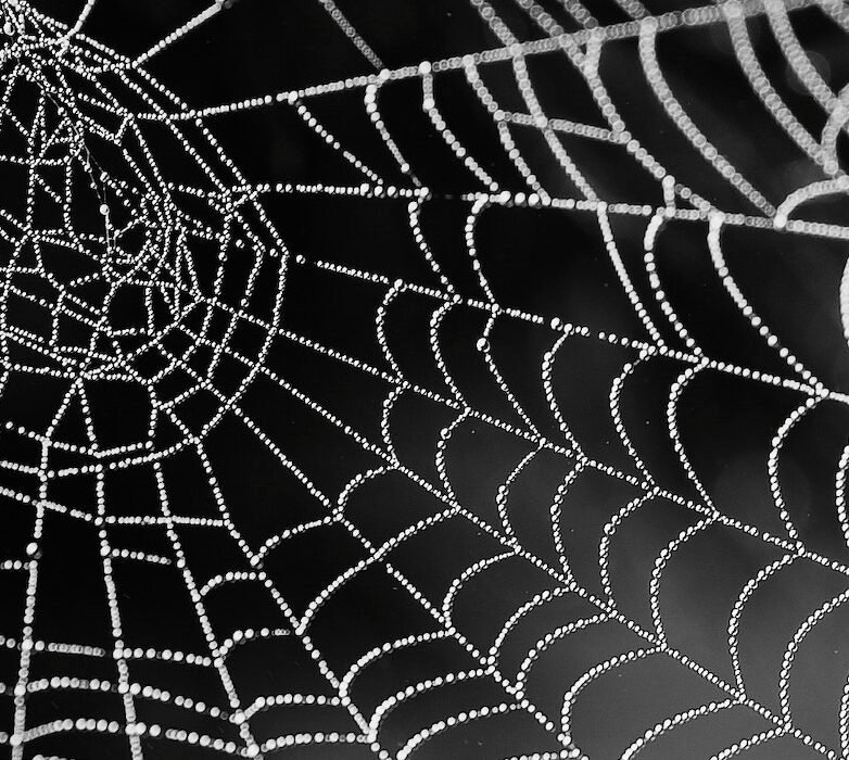What Are We Losing in Translation?